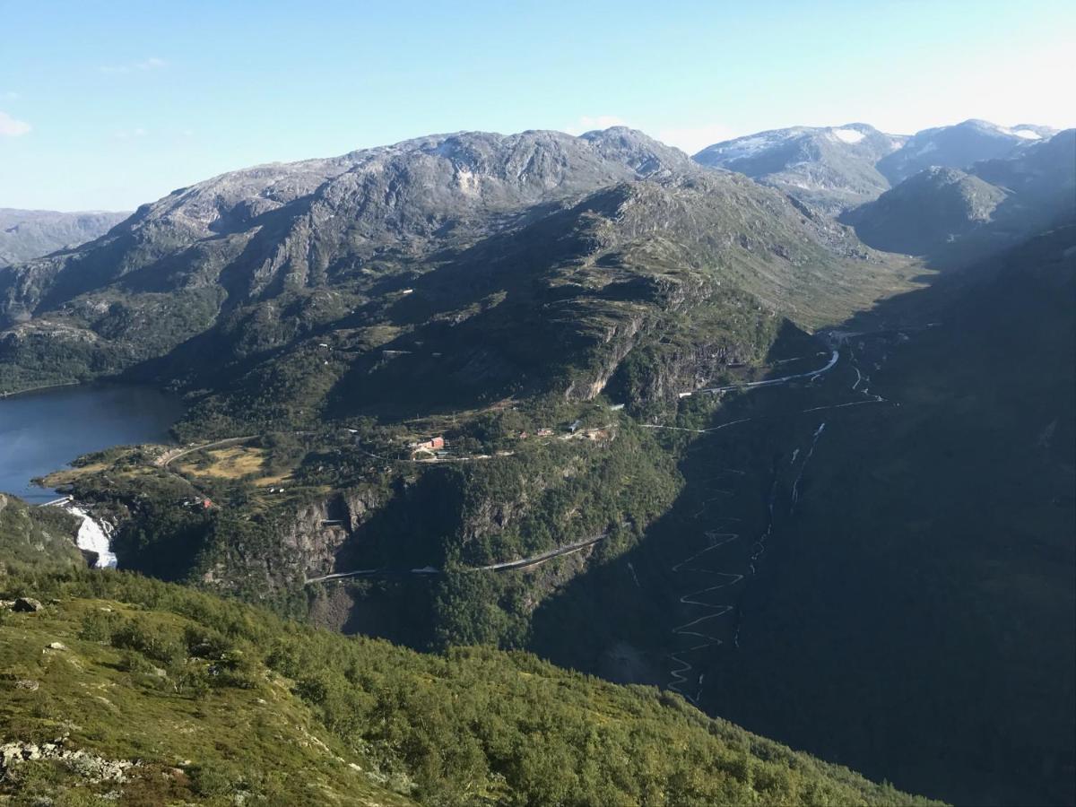 Vatnahalsen Hoyfjellshotell Myrdal Ngoại thất bức ảnh