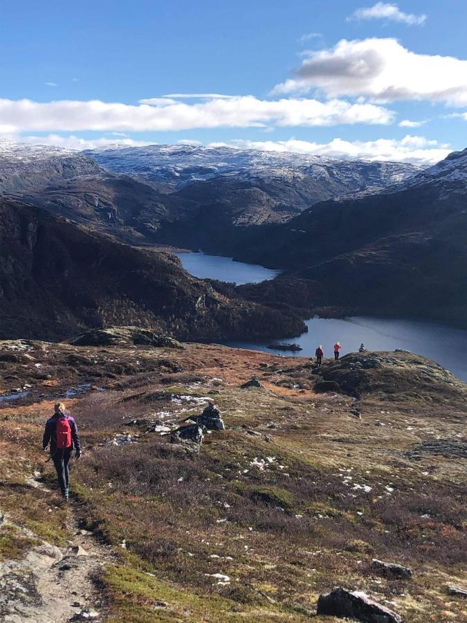 Vatnahalsen Hoyfjellshotell Myrdal Ngoại thất bức ảnh