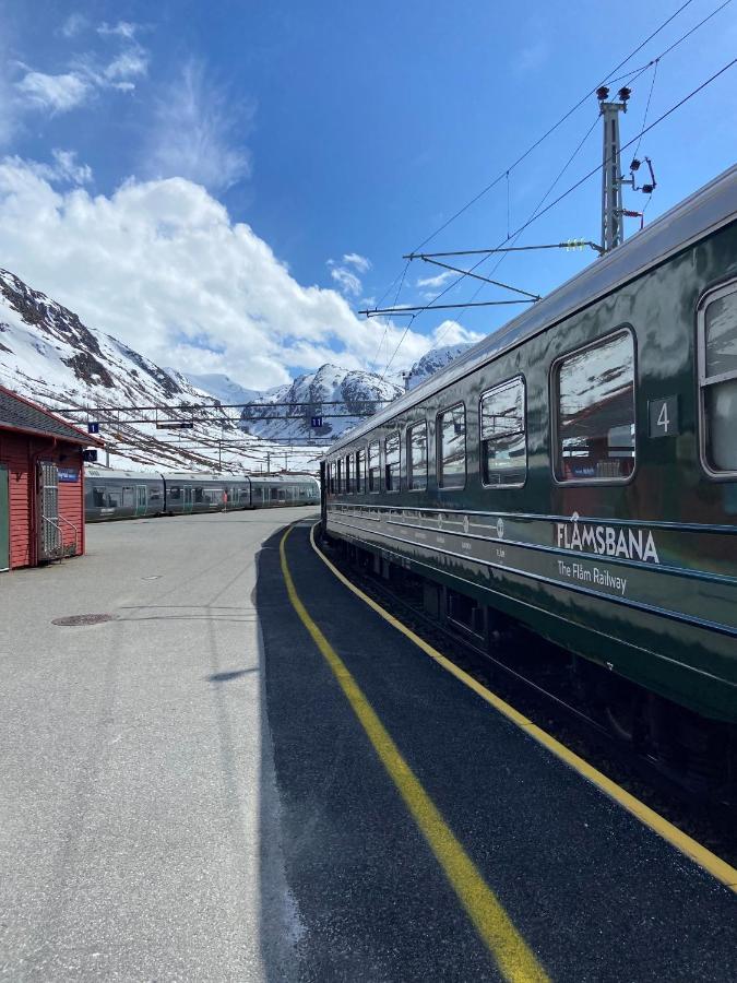 Vatnahalsen Hoyfjellshotell Myrdal Ngoại thất bức ảnh