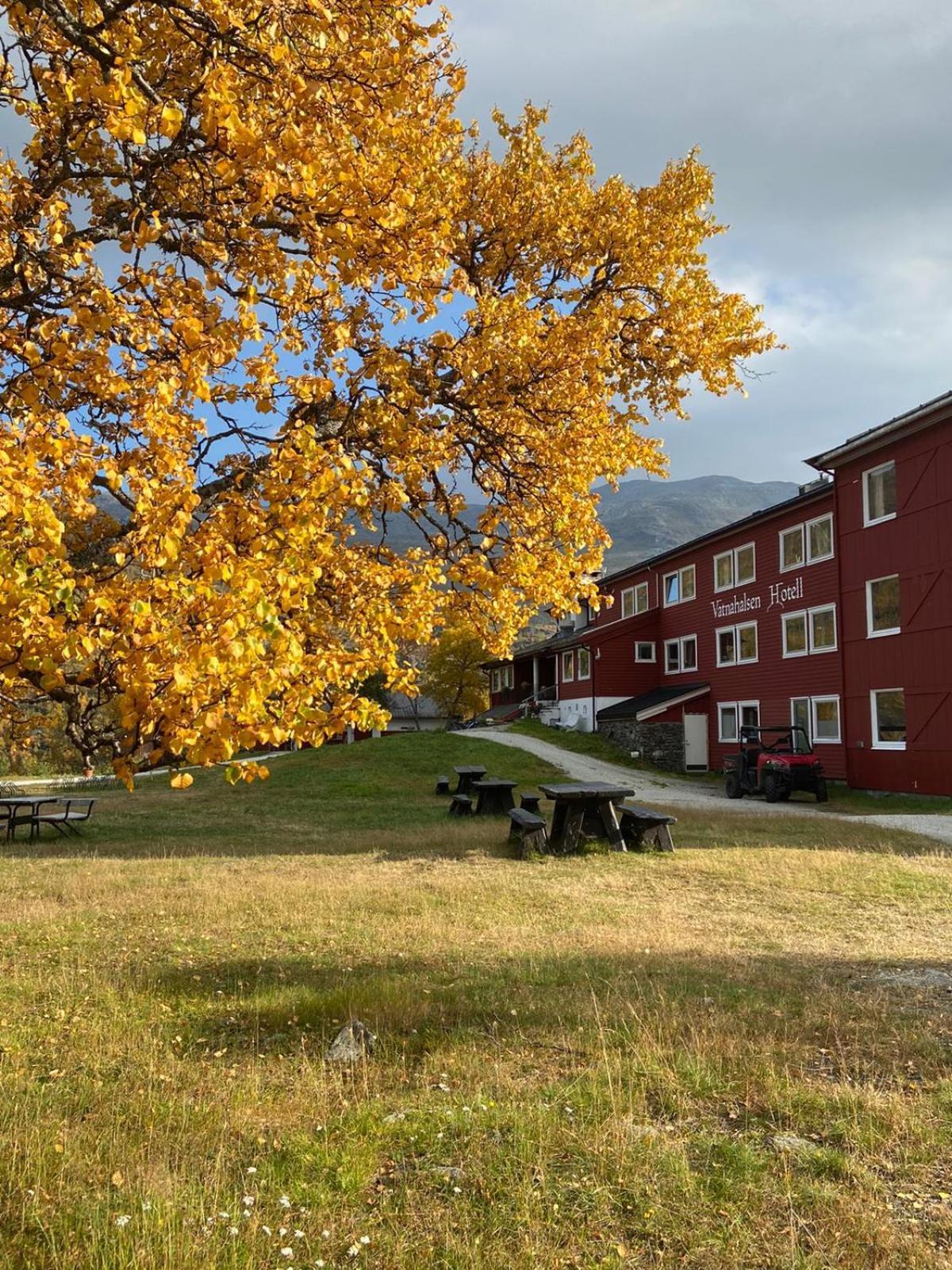 Vatnahalsen Hoyfjellshotell Myrdal Ngoại thất bức ảnh