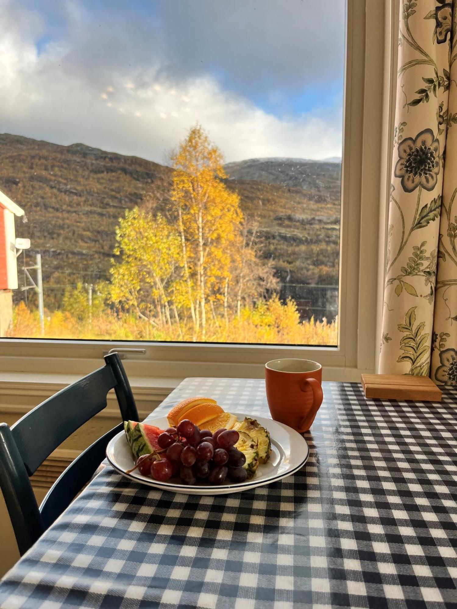 Vatnahalsen Hoyfjellshotell Myrdal Ngoại thất bức ảnh