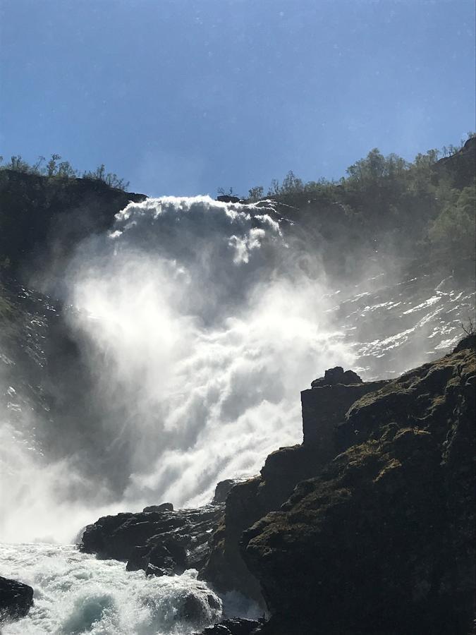 Vatnahalsen Hoyfjellshotell Myrdal Ngoại thất bức ảnh