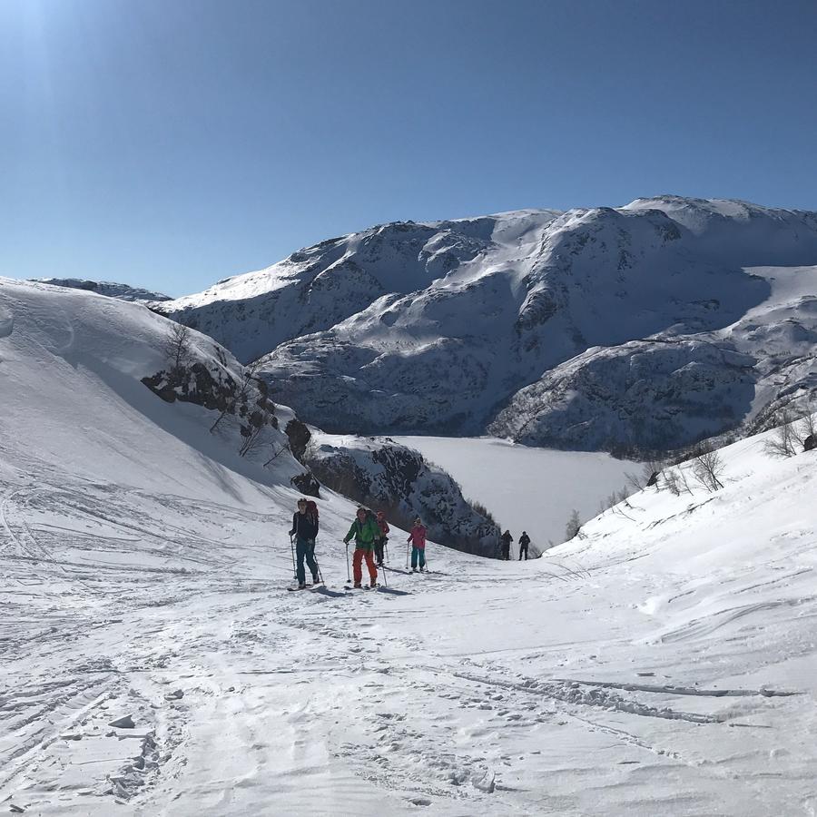 Vatnahalsen Hoyfjellshotell Myrdal Ngoại thất bức ảnh