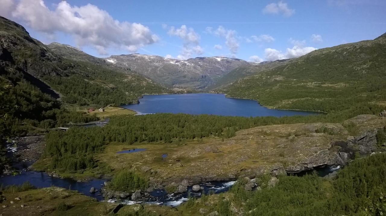 Vatnahalsen Hoyfjellshotell Myrdal Ngoại thất bức ảnh